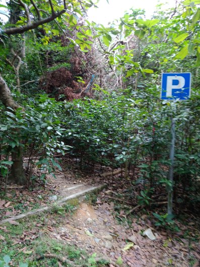 img_20190106_031207 - copy