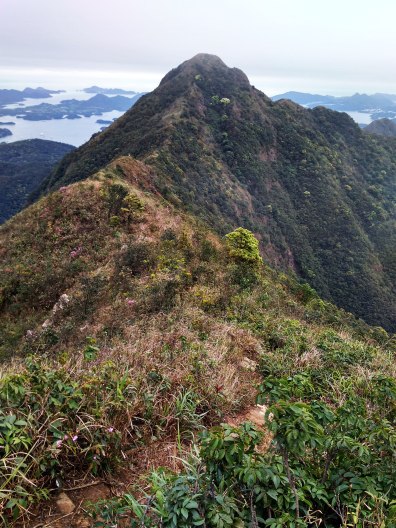 IMG_20190224_040914_HDR