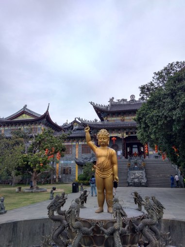 IMG_20190304_060655_HDR