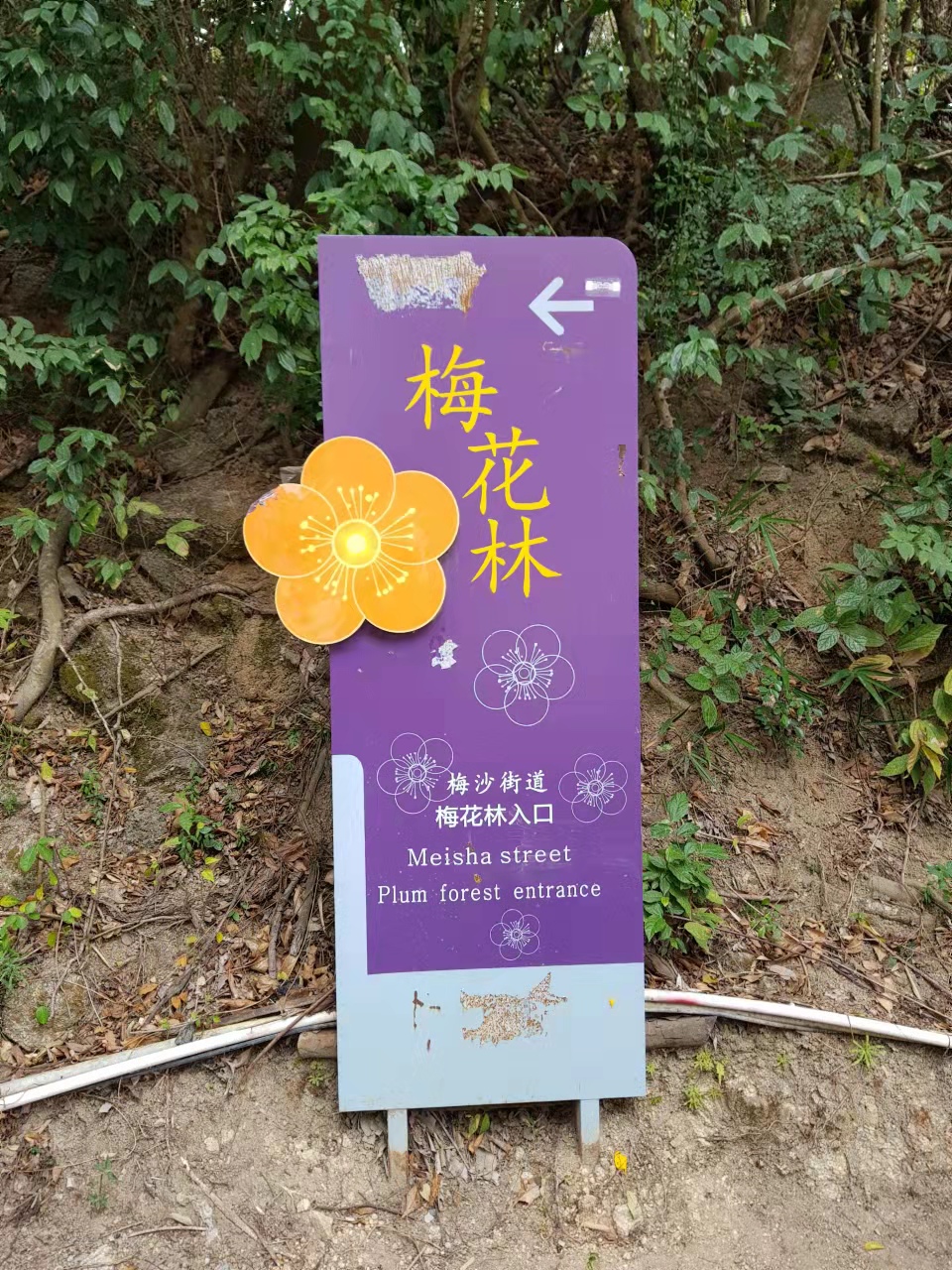 微信图片_20220217084955