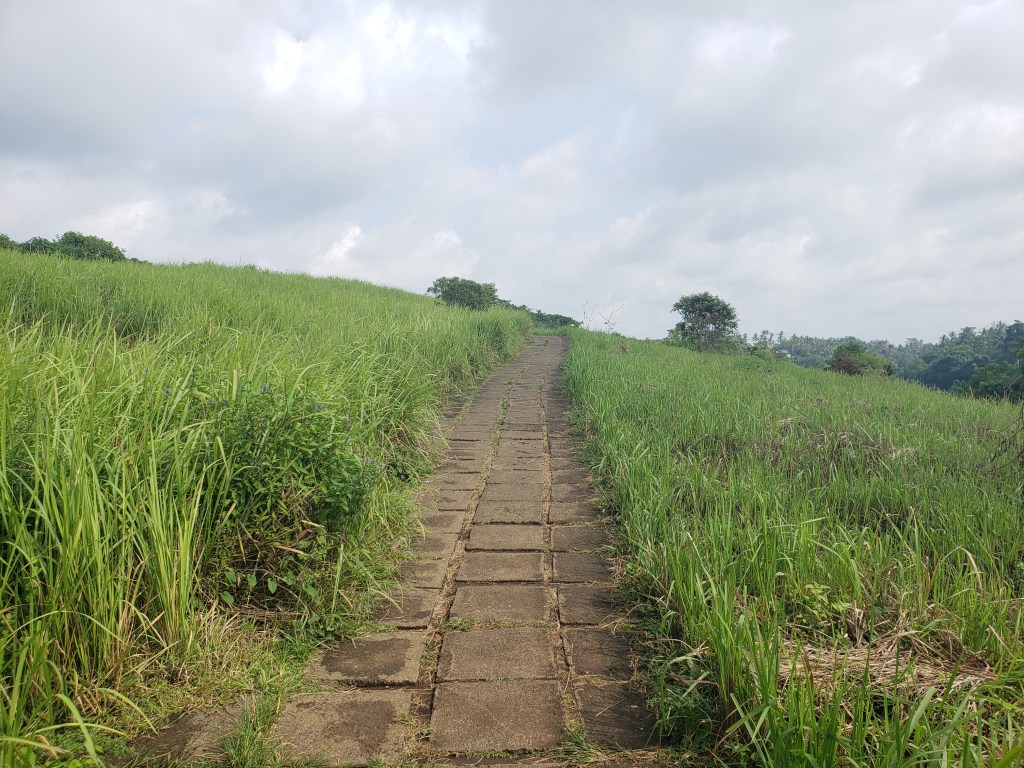 Campuhan rice fields walk&nbsp;Bali