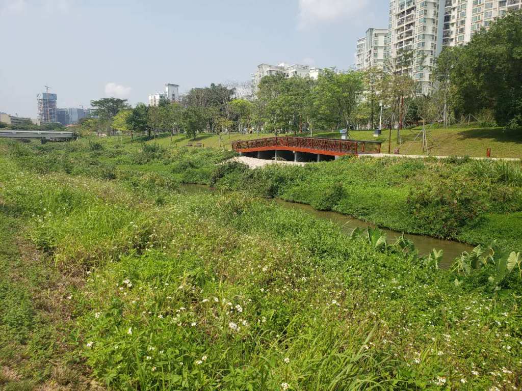 Dasha river greenway&nbsp;Shenzhen