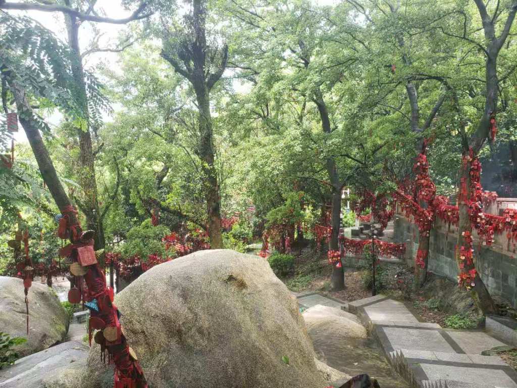 Phoenix Mountain in Bao’an&nbsp;Shenzhen