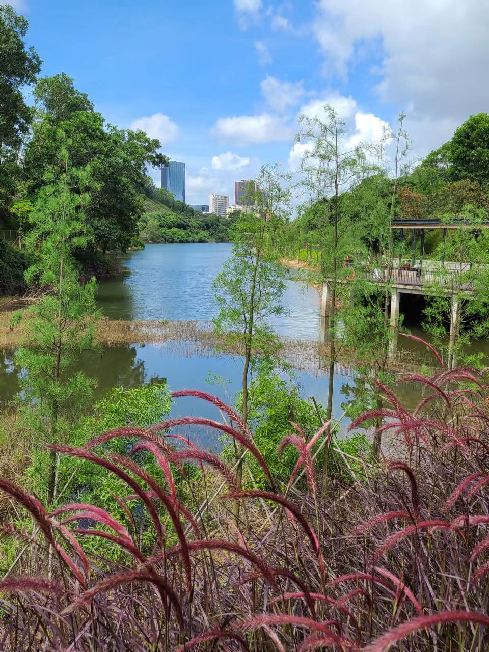 Park in Bantian&nbsp;Shenzhen