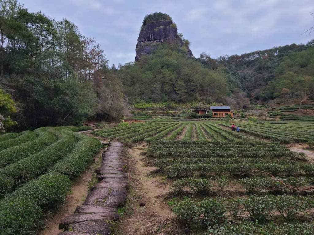 Wuyishan Mountains in Fujian Province&nbsp;China