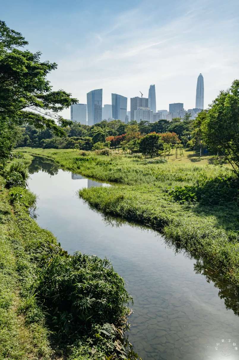 Futian River in Shenzhen&nbsp;China